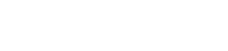 Duplix.ai